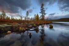 Landscape water nature trees Custom Gaming Mat Desk picture