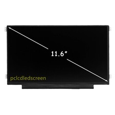 11.6