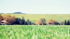 Landscape grass field fall outdoors worms eye view Custom Gaming Mat Desk picture