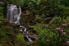 Landscape plants waterfall forest river Custom Gaming Mat Desk picture